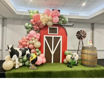 Barnyard Door Farm Backdrop Prop