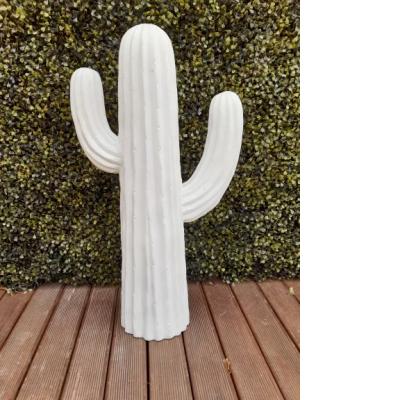 Large White Cactus
