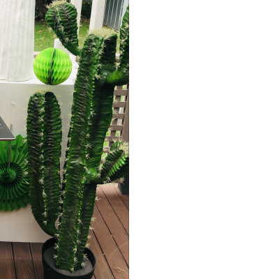 Artificial Cactus Green Props - set of 2