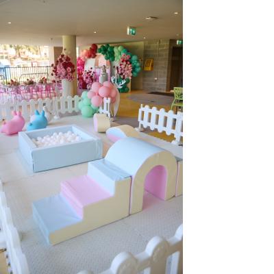 Pastel Soft Play Package with white fencing
