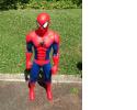 Spiderman Large Figurine303.jpg