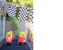 Chequered Bunting314.jpg