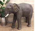 Ruby the Elephant338.jpg