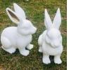 White rabbits set of 2398.jpg