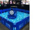 Thomas Large Ball Pit430.jpg