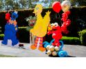 Sesame Street Cut Outs x 4440.jpg