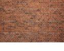Brick Wall Backdrop455.jpg