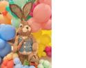 Giant Peter Rabbit with Carrott496.jpeg