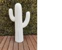 Large White Cactus497.jpeg