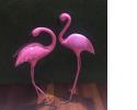 Flamingo Props Set of 2 508.jpg