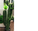 Artificial Cactus Green Props - set of 2524.png