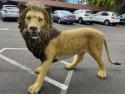 Lion Prop Statue563.jpeg
